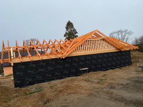 domy tradycyjne, House Concept Andrzej Bartosiewicz, Bierna