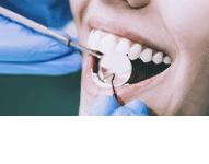 Jeleń Dental Clinic