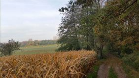 działki na sprzedaż, Ram Sp. z o. o., Opole