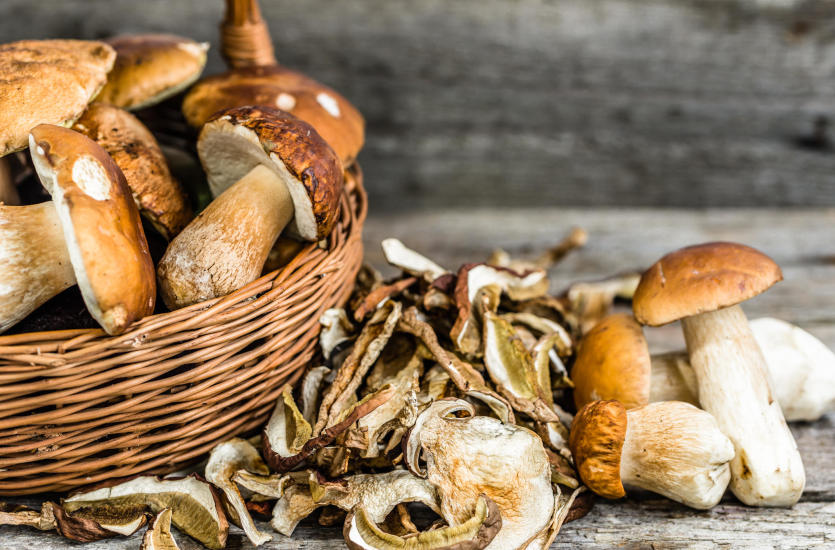 Zastosowanie suszonych grzybów w gastronomii Zastosowanie suszonych grzybów w gastronomii