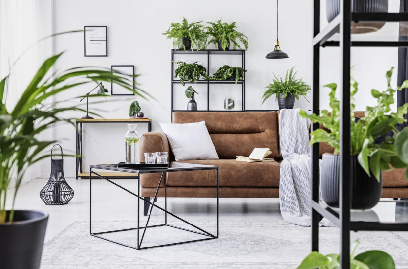Urban jungle, czyli jak stworzyć dżunglę w mieszkaniu? Urban jungle, czyli jak stworzyć dżunglę w mieszkaniu?