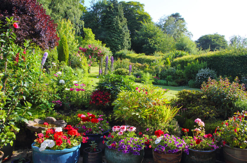 Projektowanie i zakładanie ogrodu z firmą Jarosława Dąbrówki