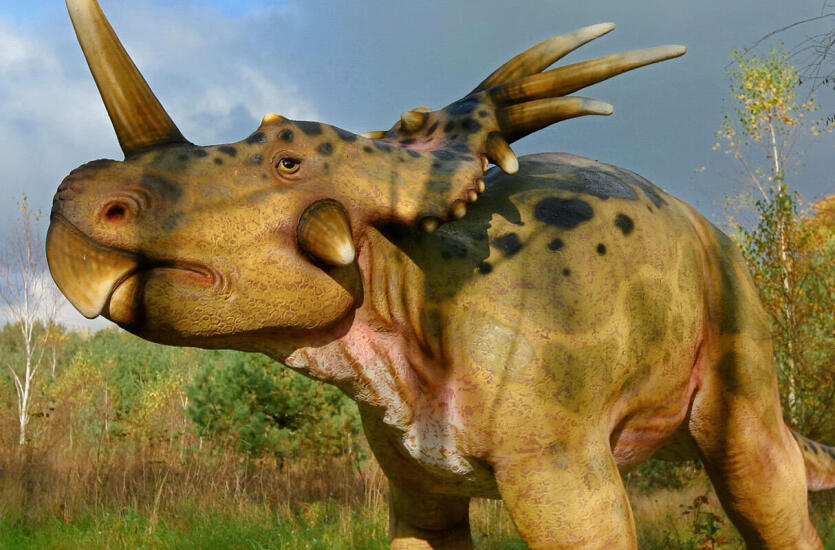 Wakacyjna wycieczka do Parku Dinozaurów dostarczy Ci ciekawych atrakcji! 