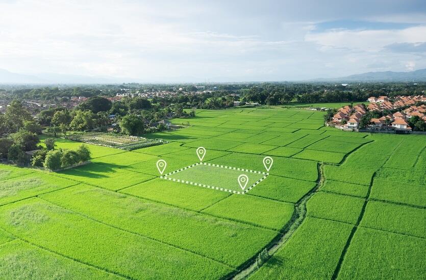 Norde Usługi Geodezyjne: Jak wygląda proces geodezyjnego podziału i rozgraniczenia działki?