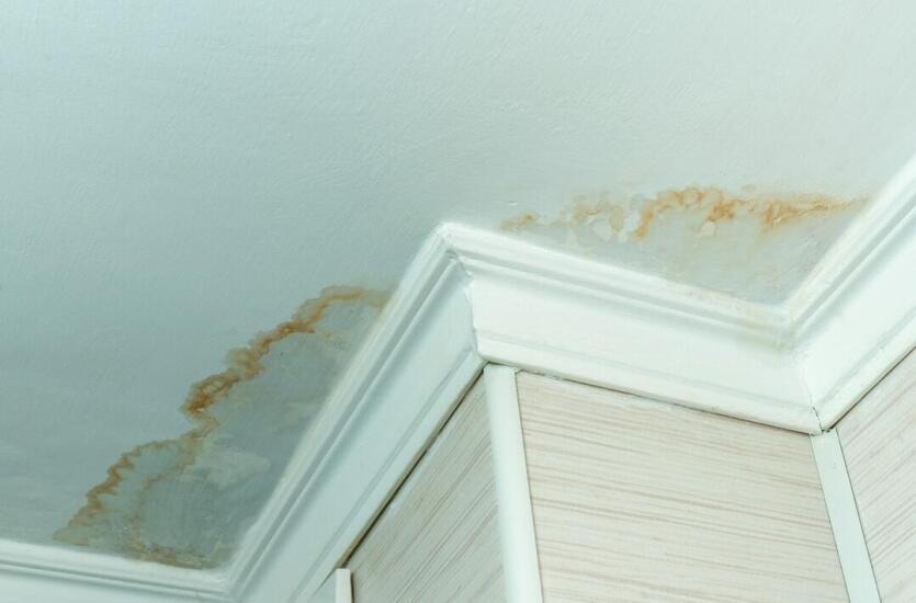 Osuszanie domów w ofercie firmy DryArt – dlaczego nieszczelna połać dachowa stwarza tak duże zagrożenie?