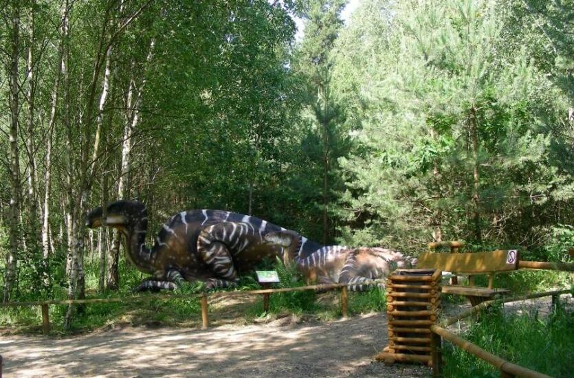 Odkryj fascynujący świat dinozaurów w Parku Dinozaurów