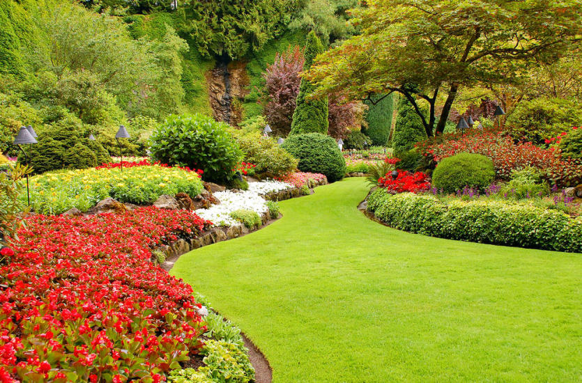 Jak wybrać idealne kwiaty do swojego ogrodu?