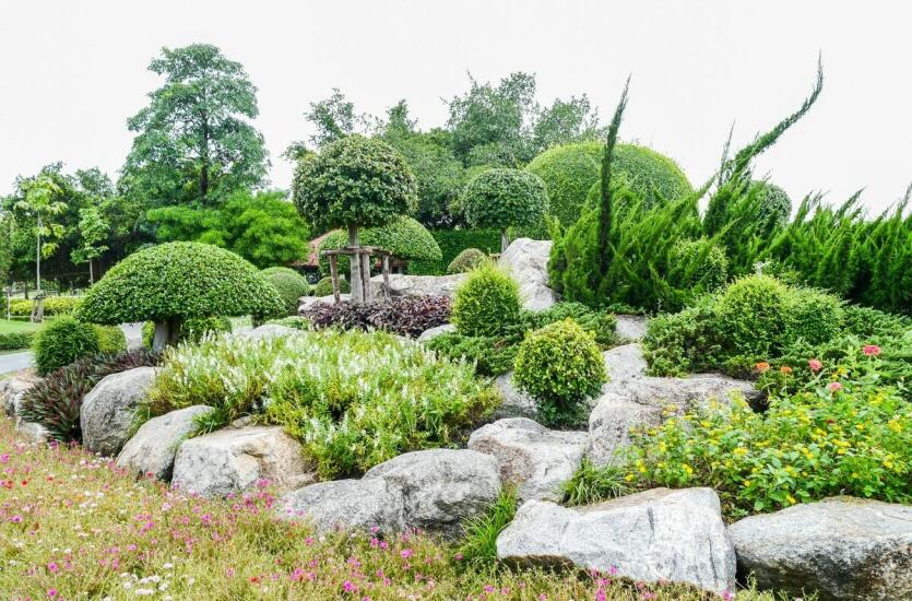 Szkółka Bylin Tuszewo: Skalniaki i rabaty - pomysły na kompozycje roślinne w ogrodzie