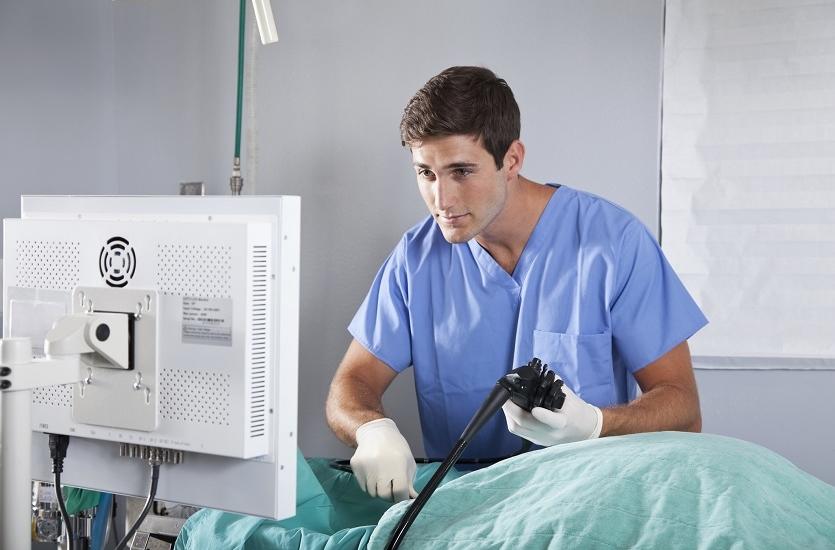 Jak za pomocą endoskopii zdiagnozować chorobę u zwierzęcia?