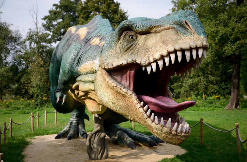 Zabierz dziecko do parku dinozaurów Zabierz dziecko do parku dinozaurów