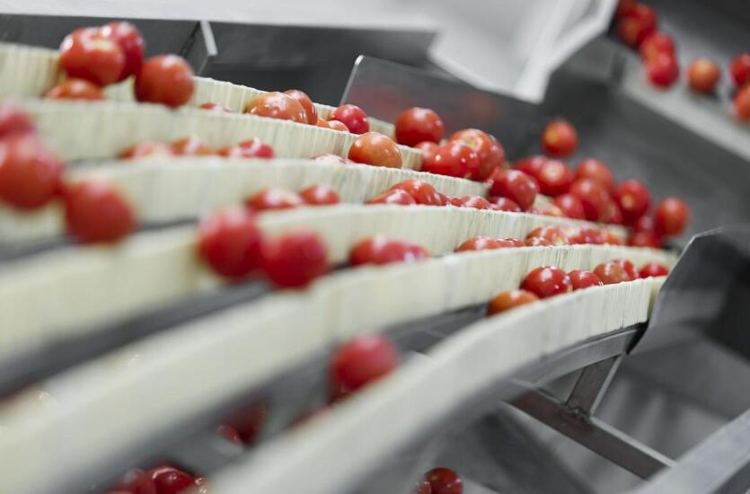 Przenośniki ze zbiornikiem płuczącym w przemyśle spożywczym