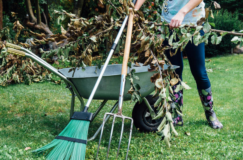 Dom z ogrodem? Przyda się dobra taczka! Jaką najlepiej wybrać?