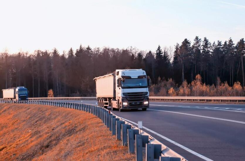 Przewóz całopojazdowy – C. Hartwig Szczecin