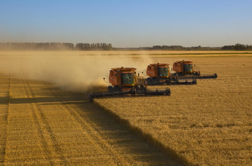 Dlaczego warto skorzystać z usług dobrego dystrybutora pojazdów i maszyn rolniczych?