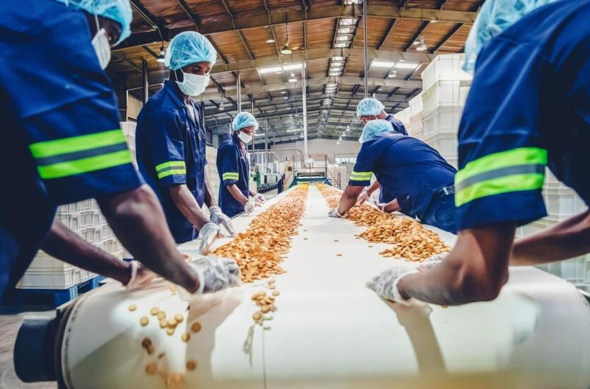 Przetwórstwo warzyw w Polsce – Intermax z Ponieca