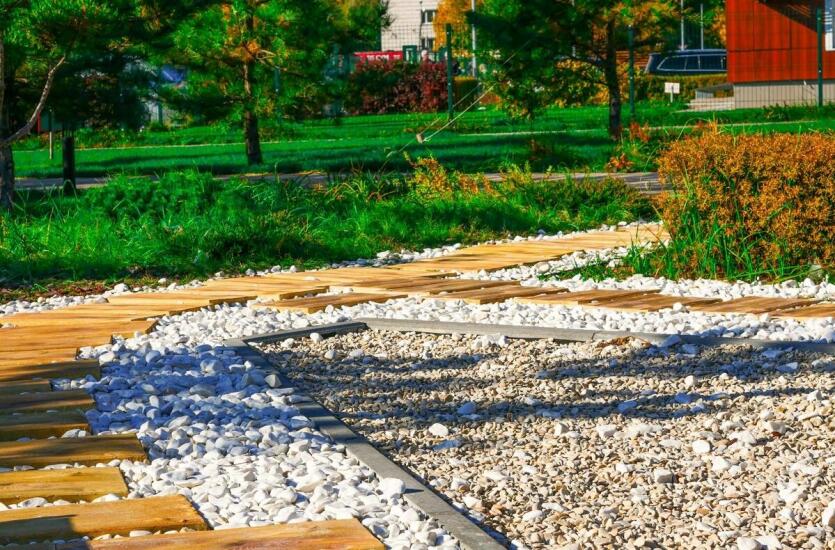 Mulczowanie terenu – korzyści dla roślin i ogrodów Mulczowanie terenu – korzyści dla roślin i ogrodów