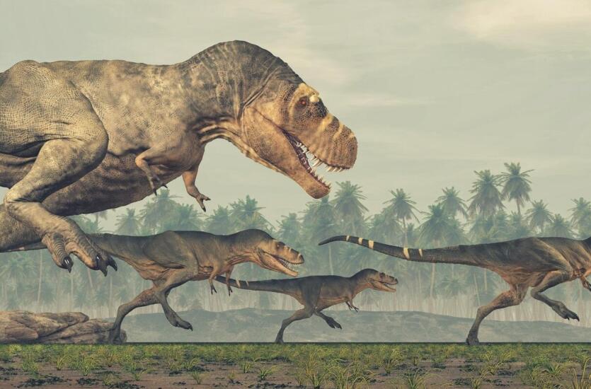 Park Dinozaurów Nowiny Wielkie – edukacja i zabawa