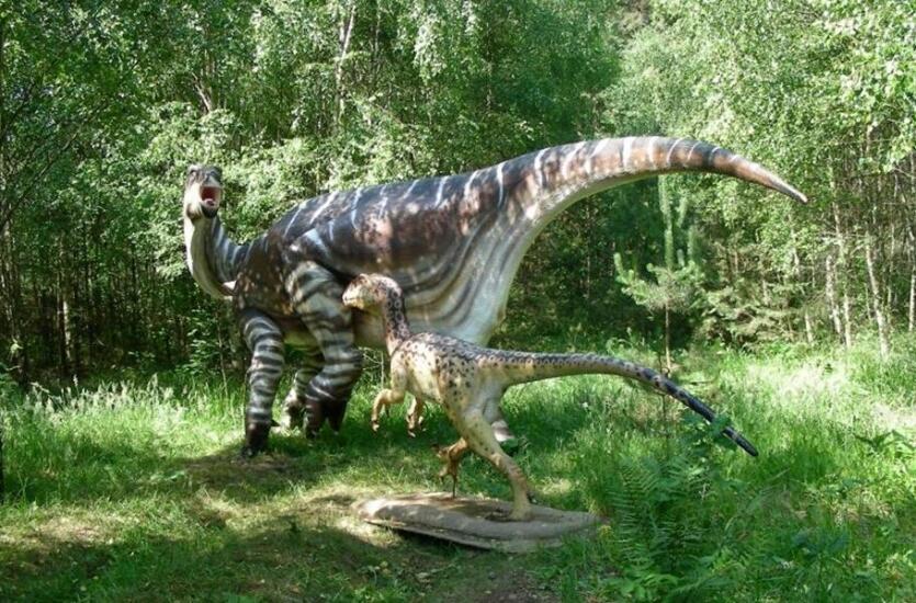 Park Dinozaurów Nowiny Wielkie – odkryj prehistorię