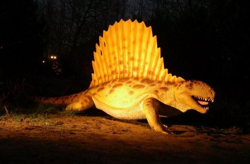 Nocne efekty świetlne w Parku Dinozaurów