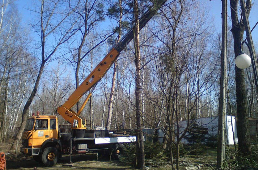 Kiedy warto zdecydować się na wynajęcie podnośników koszowych?