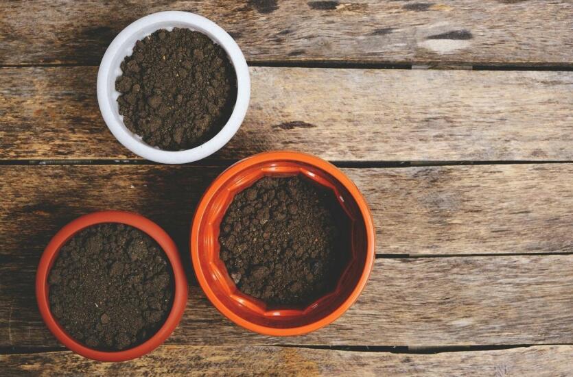 Świeżo palona kawa ziarnista – Guido Coffee