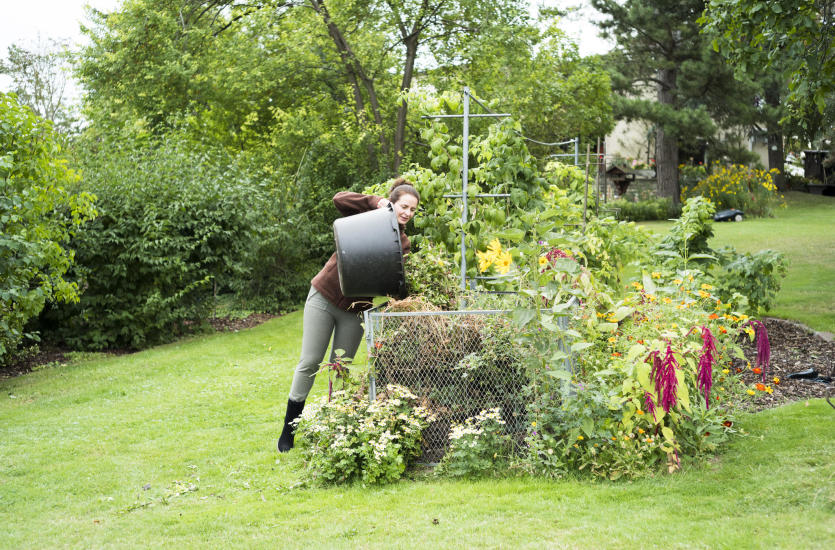 Ekologiczny ogród, czyli jak stworzyć miejsce przyjazne naturze