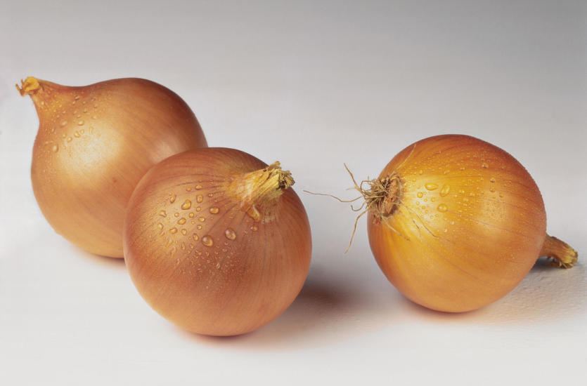 Jakie wartości odżywcze znajdziemy w cebuli, brukselce i porze?