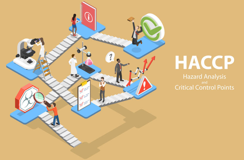 Monitorowanie HACCP, czyli program ochrony przed szkodnikami
