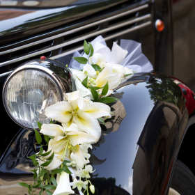Udekoruj samochód na ślub z Tamara Strzelczyk Kwiaciarnia
