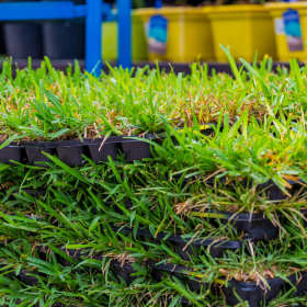 Wysokiej klasy palety rozsadowe marki ANMA