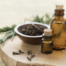 Duży wybór produktów zielarskich i medycznych w sklepie Znachor