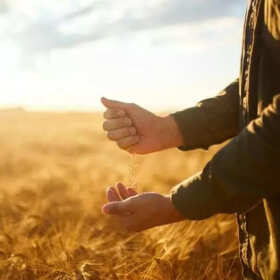 Poznaj skoncentrowany preparat humusowy z mikroelementami Lignohumat Super od firmy NaturalHouse Waldemar Turowski 