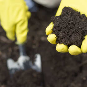 Zalety nawozów organicznych stosowanych przez firmę Mokre Ogrody 