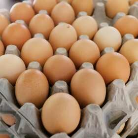 Dlaczego warto jeść jajka? - Zakład Sortowania i Pakowania Jaj A&J Gurga s.c.