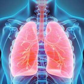 W czym specjalizuje się pulmonolog? - Gabinet Alergologiczny Jarosław Petryszyn