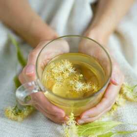 Moc lipy- czyli dobroczynne właściwości i zastosowania lipy