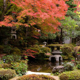 Bettiogrody.pl: Jak dopasować do siebie styl ogrodu?