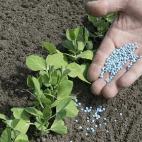 Zalety stosowania nawozów z aminokwasami dostępnych w ofercie NaturalHouse