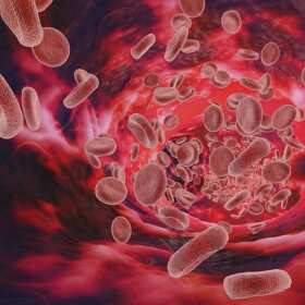 Zdro-Fit Usługi Pielegniarskie: Ciśnienie tętnicze - klucz do zdrowego serca