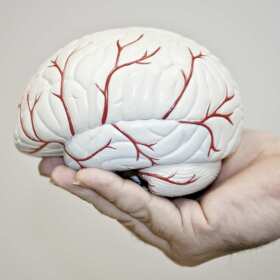 Rola badań neurologicznych w ocenie zdolności do pracy