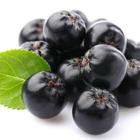 Właściwości zdrowotne owoców aronii - oferta firmy Aronia Eggert Sp. z o.o.