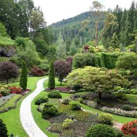 Betti Ogrody – Profesjonalne zakładanie i pielęgnacja ogrodów