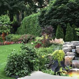 Tuje w ogrodzie – trendy i pielęgnacja