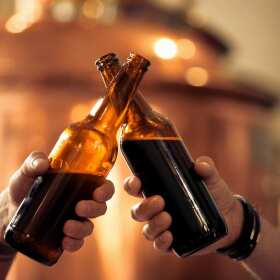 Piwa kraftowe w hurtowni Dars Premium – Lubin