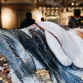 Restauracja U Jakuba – wyjątkowe dania rybne i owoce morza