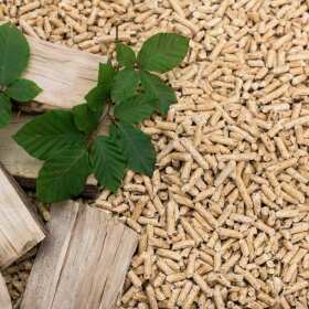 Ziarna opałowe jako odnawialne źródło energii