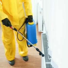 Bezpieczeństwo w dezynsekcji i deratyzacji – Budrys