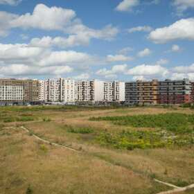 Ekologiczne domy na sprzedaż – przyszłość rynku nieruchomości