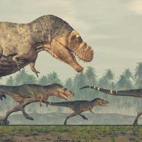 Park Dinozaurów Nowiny Wielkie – edukacja i zabawa