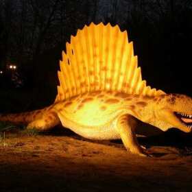 Nocne efekty świetlne w Parku Dinozaurów